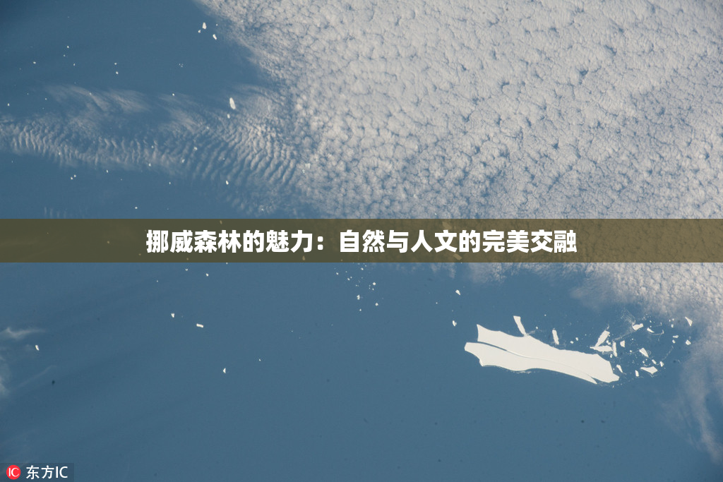 挪威森林的魅力：自然与人文的完美交融