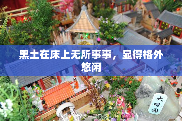 黑土在床上无所事事，显得格外悠闲