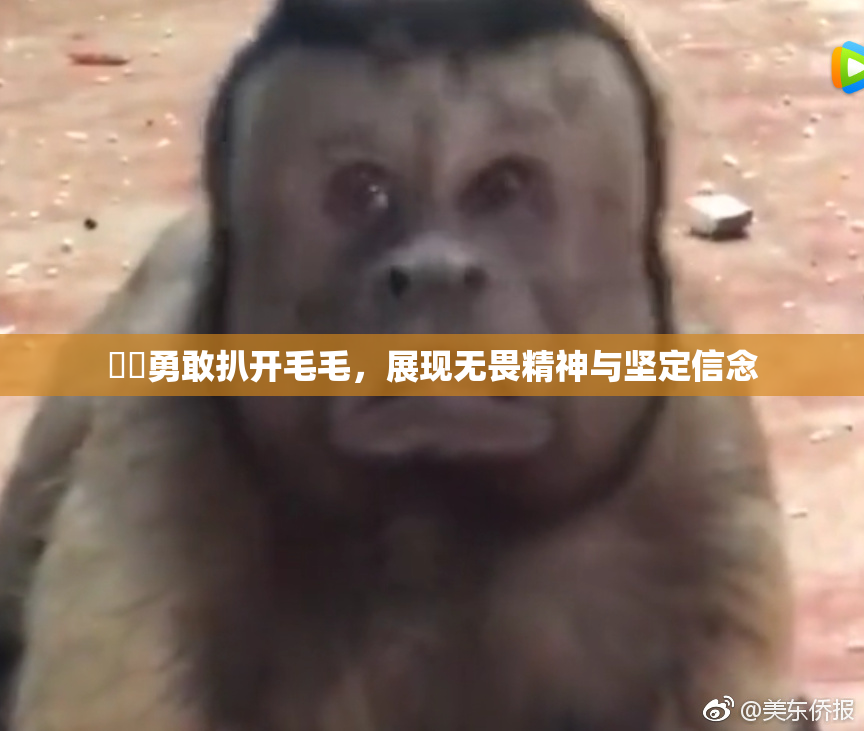 妺妺勇敢扒开毛毛，展现无畏精神与坚定信念