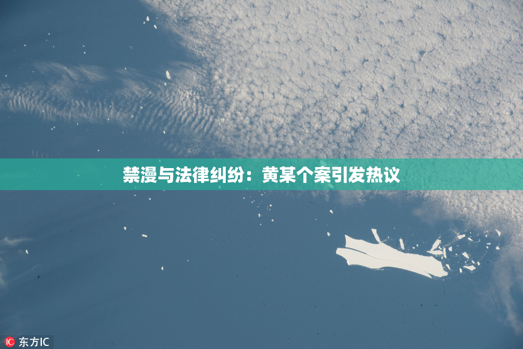 禁漫与法律纠纷：黄某个案引发热议