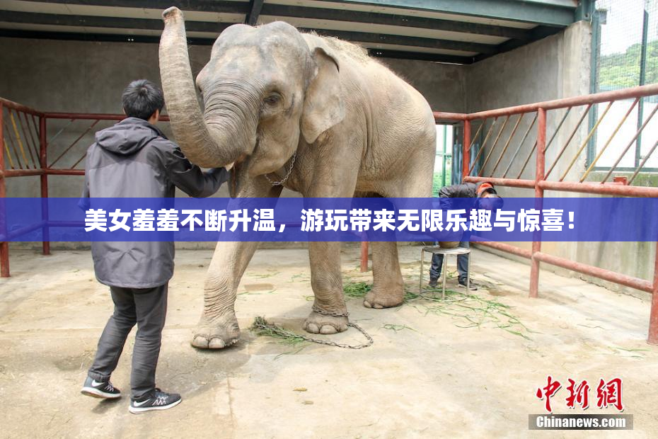 美女羞羞不断升温，游玩带来无限乐趣与惊喜！