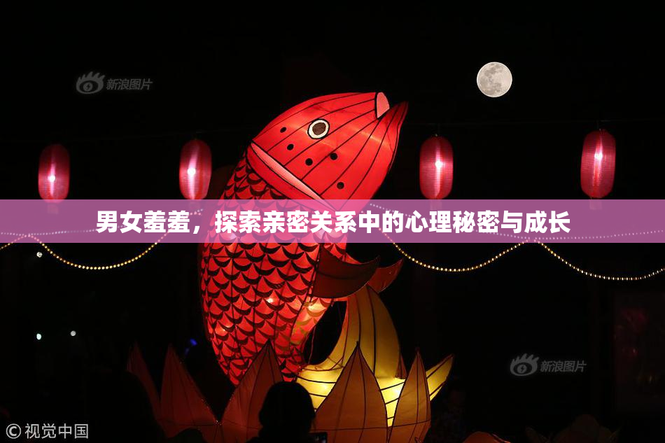 男女羞羞，探索亲密关系中的心理秘密与成长
