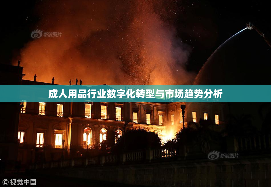 成人用品行业数字化转型与市场趋势分析