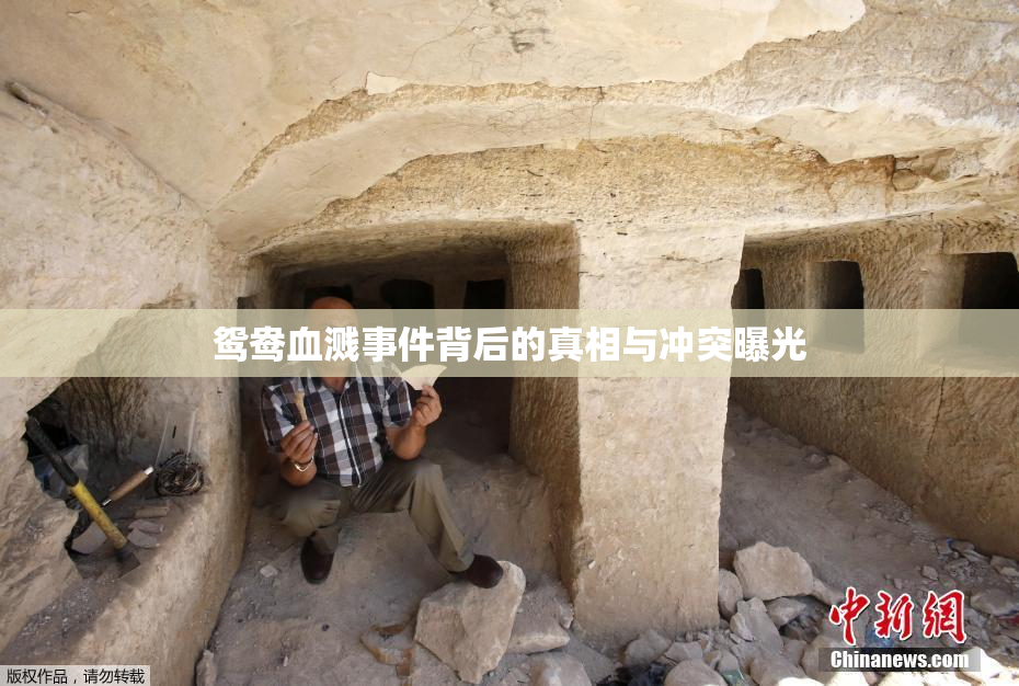 鸳鸯血溅事件背后的真相与冲突曝光