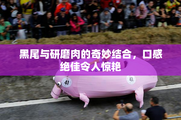黑尾与研磨肉的奇妙结合，口感绝佳令人惊艳