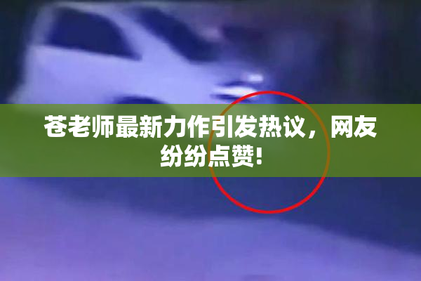 苍老师最新力作引发热议，网友纷纷点赞!