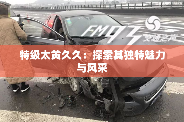 特级太黄久久：探索其独特魅力与风采