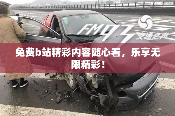 免费b站精彩内容随心看，乐享无限精彩！