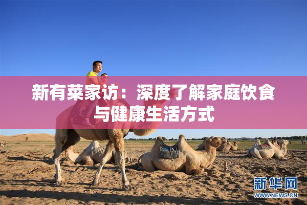 新有菜家访：深度了解家庭饮食与健康生活方式