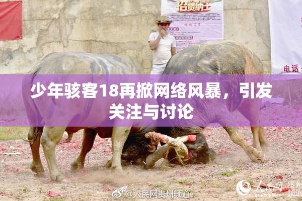 少年骇客18再掀网络风暴，引发关注与讨论
