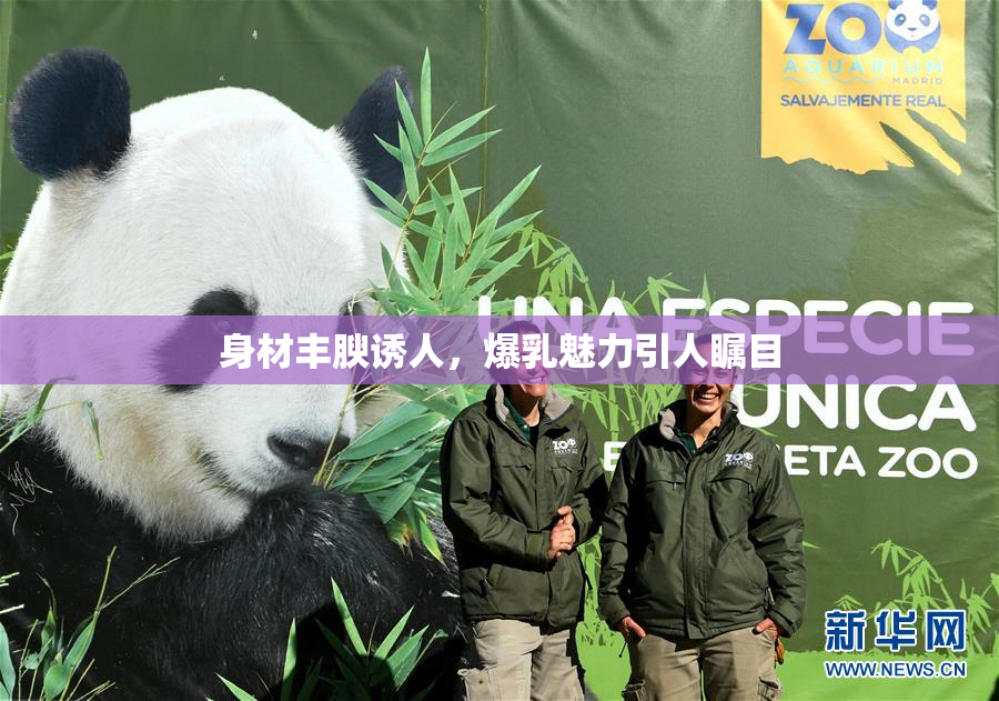 身材丰腴诱人，爆乳魅力引人瞩目