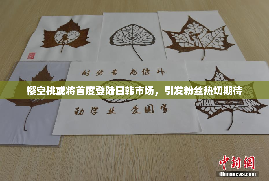 樱空桃或将首度登陆日韩市场，引发粉丝热切期待