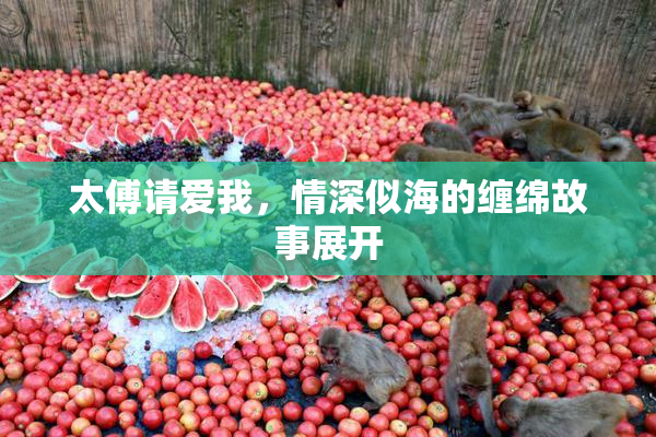 太傅请爱我，情深似海的缠绵故事展开