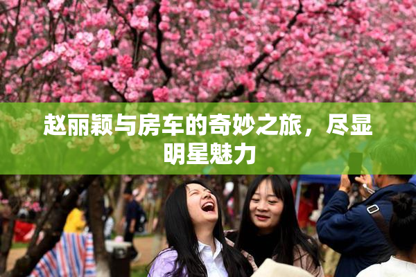赵丽颖与房车的奇妙之旅，尽显明星魅力