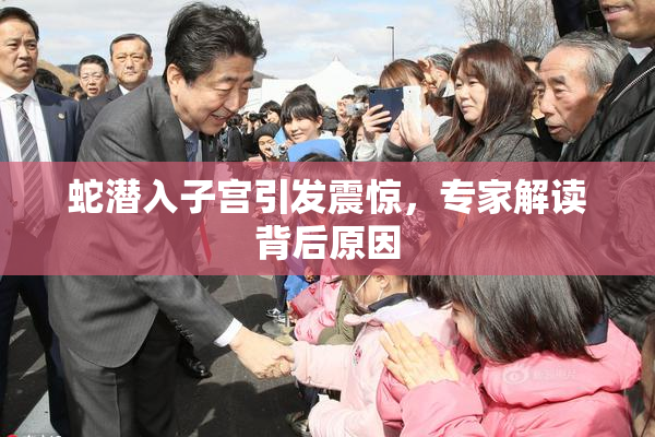 蛇潜入子宫引发震惊，专家解读背后原因