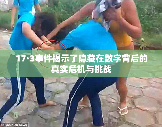 17·3事件揭示了隐藏在数字背后的真实危机与挑战