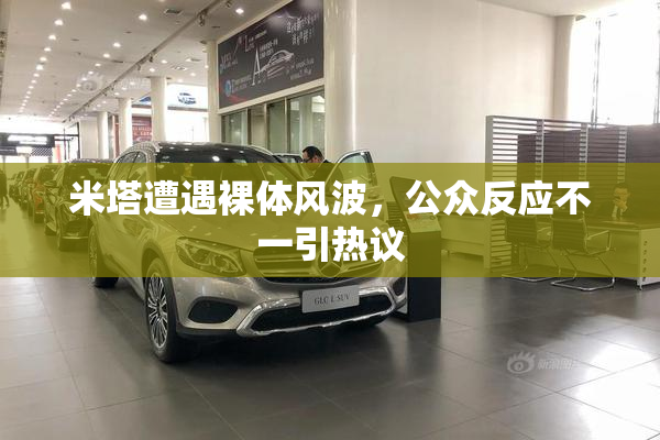 米塔遭遇裸体风波，公众反应不一引热议