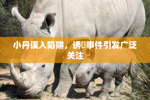 小丹误入陷阱，诱奷事件引发广泛关注