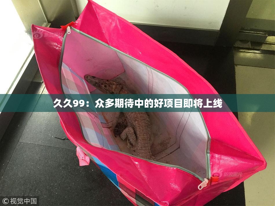 久久99：众多期待中的好项目即将上线