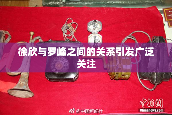 徐欣与罗峰之间的关系引发广泛关注