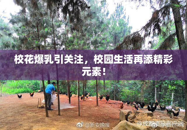 校花爆乳引关注，校园生活再添精彩元素！