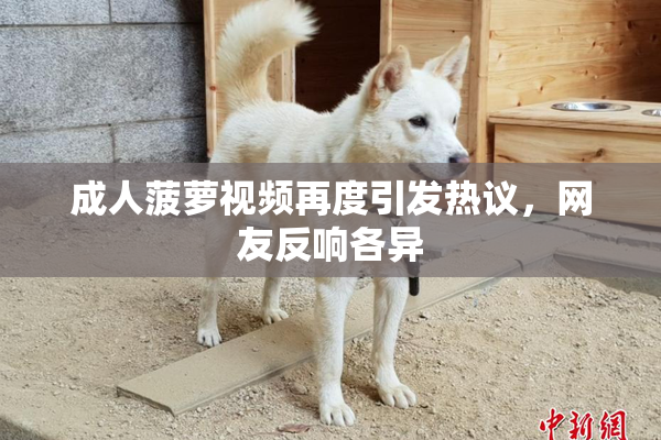 成人菠萝视频再度引发热议，网友反响各异
