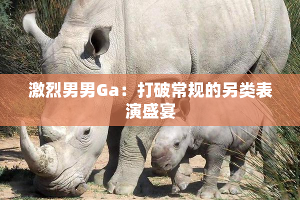 激烈男男Ga：打破常规的另类表演盛宴