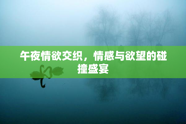 午夜情欲交织，情感与欲望的碰撞盛宴