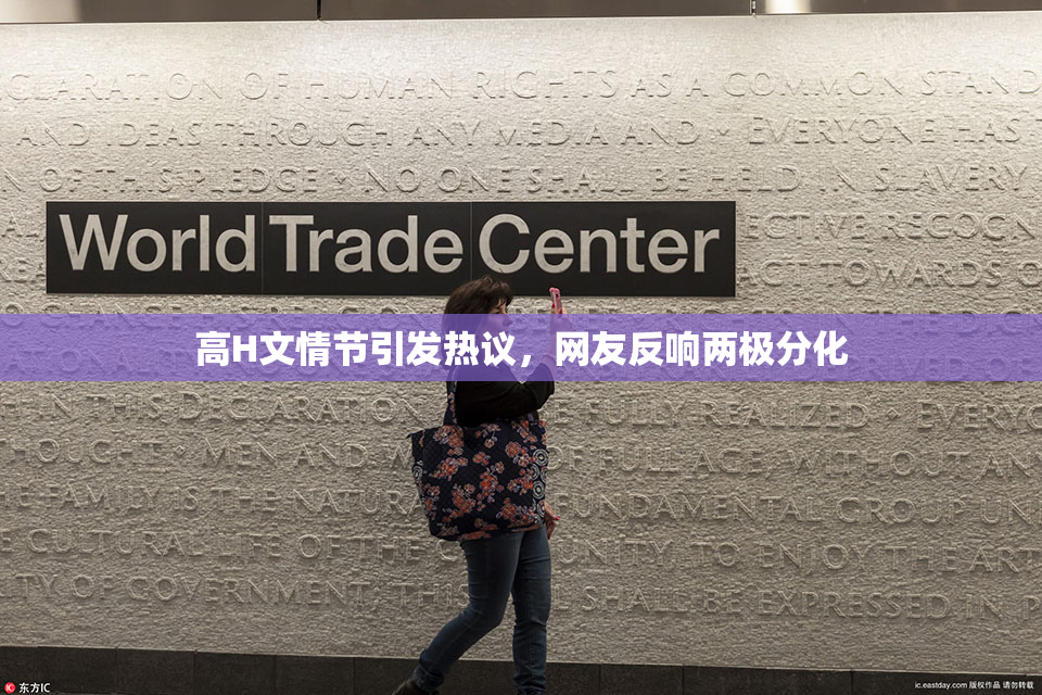 高H文情节引发热议，网友反响两极分化