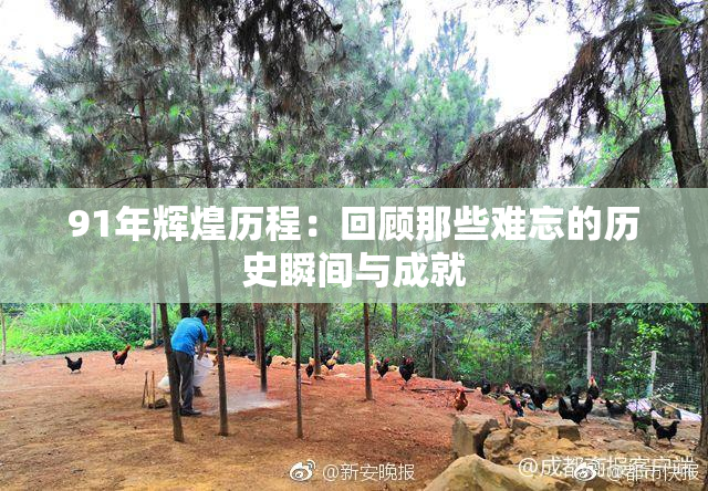 91年辉煌历程：回顾那些难忘的历史瞬间与成就