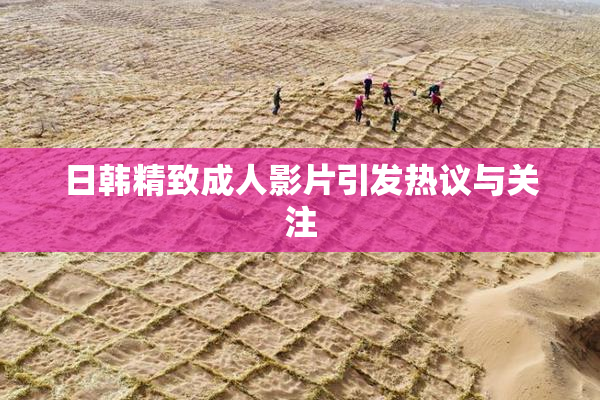 日韩精致成人影片引发热议与关注