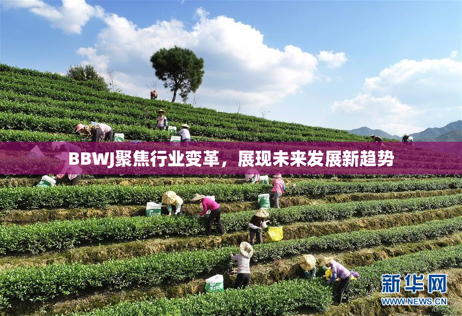 BBWJ聚焦行业变革，展现未来发展新趋势