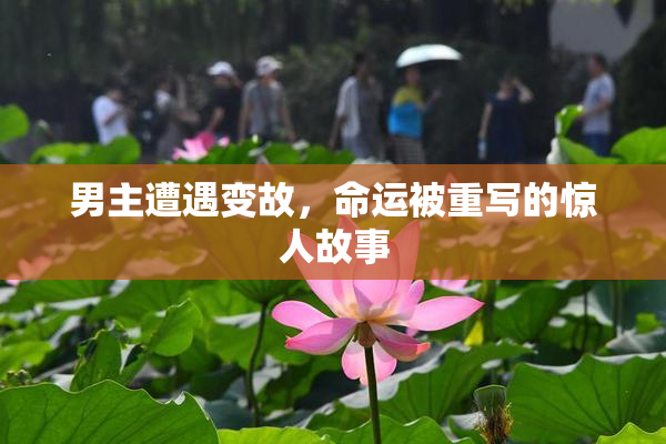 男主遭遇变故，命运被重写的惊人故事