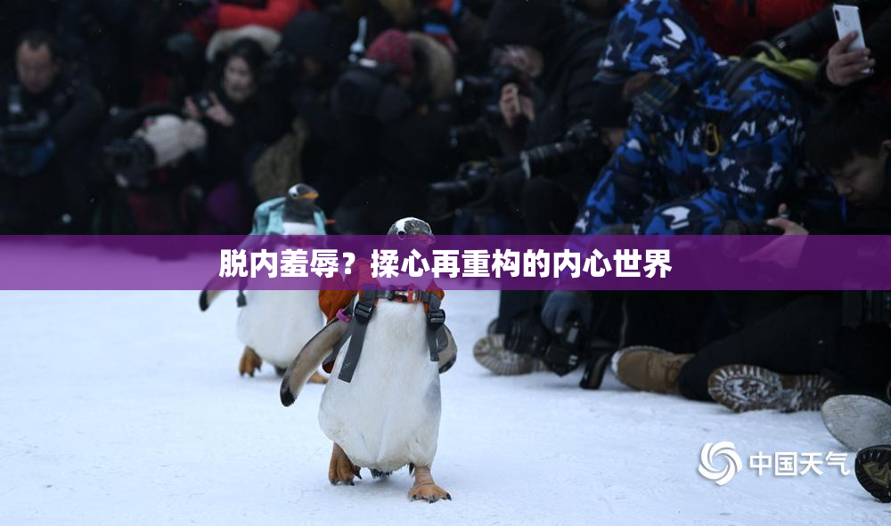 脱内羞辱？揉心再重构的内心世界