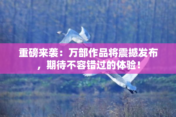 重磅来袭：万部作品将震撼发布，期待不容错过的体验！