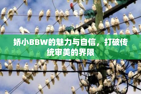娇小BBW的魅力与自信，打破传统审美的界限