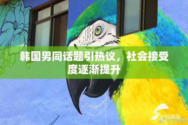 韩国男同话题引热议，社会接受度逐渐提升