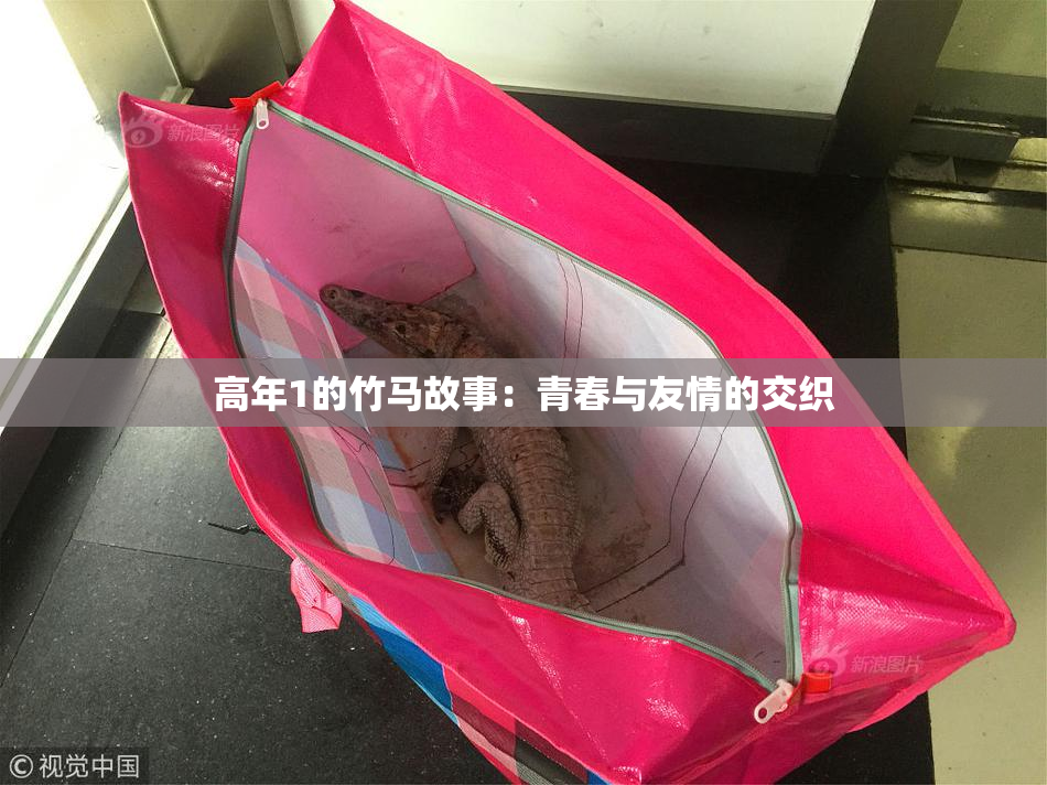高年1的竹马故事：青春与友情的交织