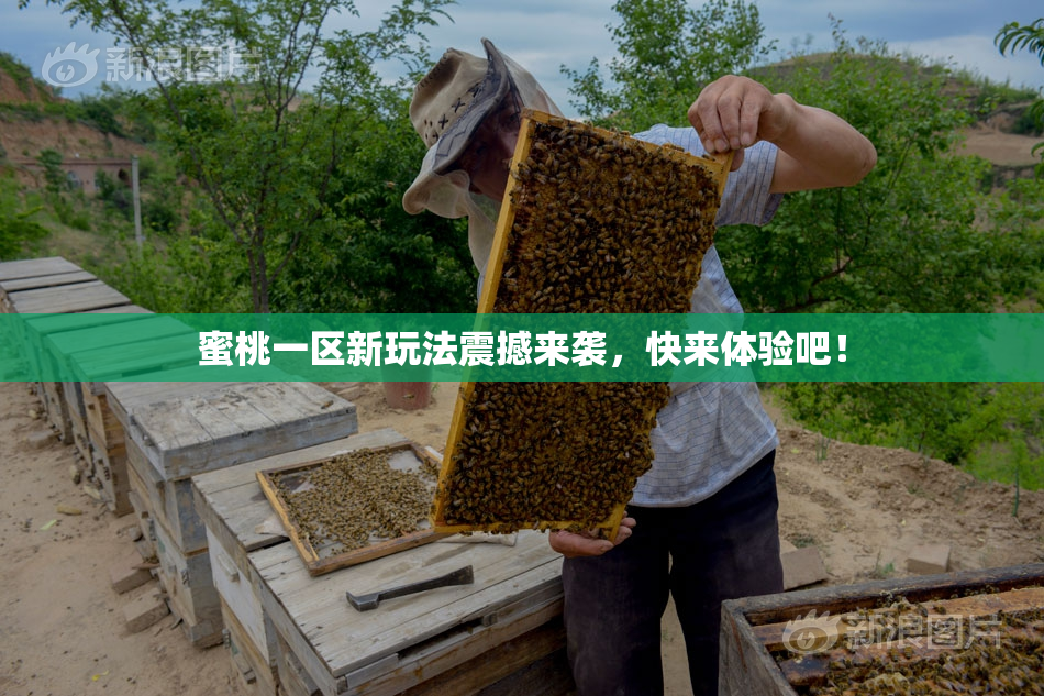 蜜桃一区新玩法震撼来袭，快来体验吧！
