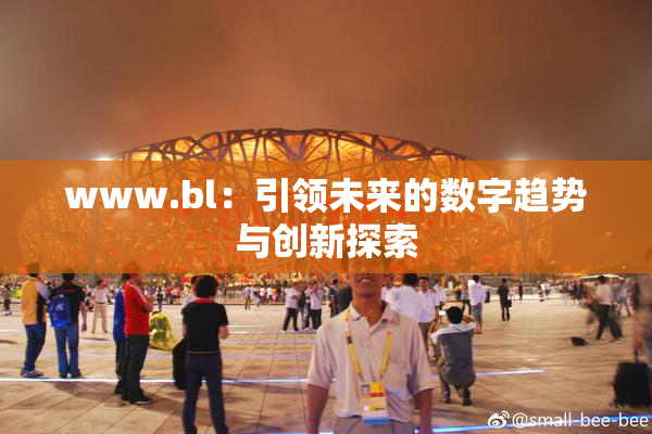 www.bl：引领未来的数字趋势与创新探索