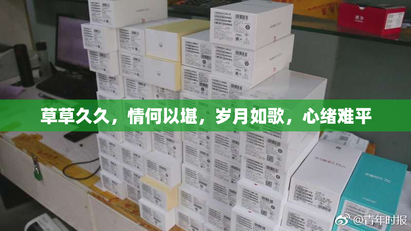 草草久久，情何以堪，岁月如歌，心绪难平
