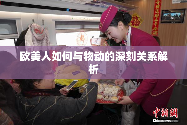 欧美人如何与物动的深刻关系解析