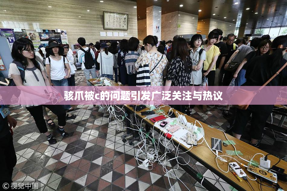 骇爪被c的问题引发广泛关注与热议