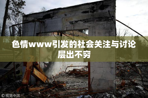 色情www引发的社会关注与讨论层出不穷
