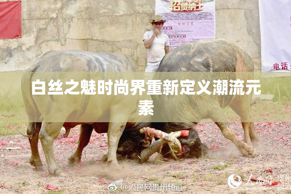 白丝之魅时尚界重新定义潮流元素