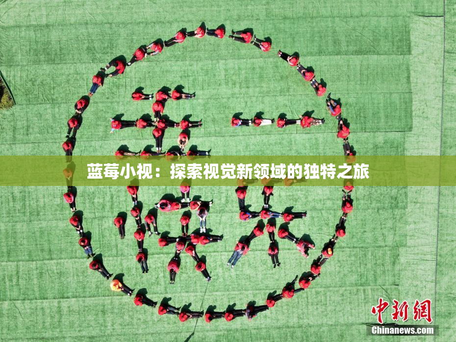蓝莓小视：探索视觉新领域的独特之旅
