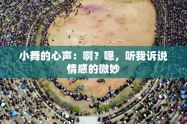 小舞的心声：啊？嗯，听我诉说情感的微妙