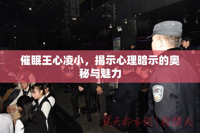 催眠王心凌小，揭示心理暗示的奥秘与魅力