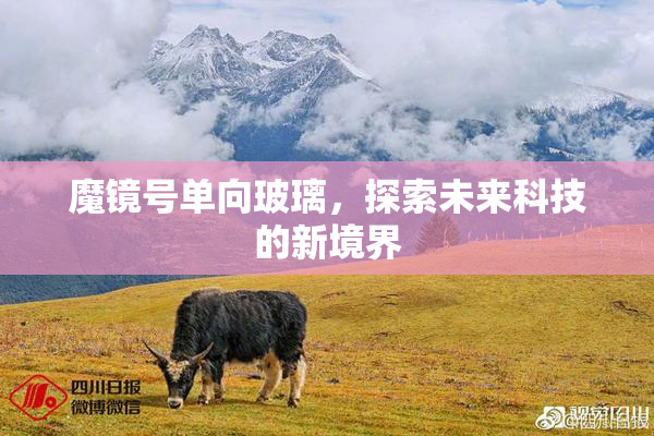 魔镜号单向玻璃，探索未来科技的新境界