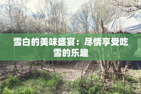 雪白的美味盛宴：尽情享受吃雪的乐趣